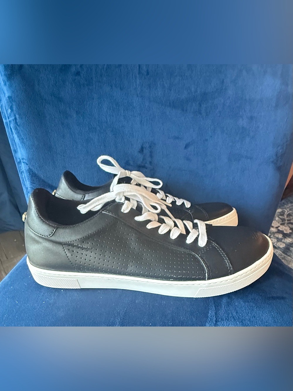Steve Madden Black and White Low-Top Women's Sneakers